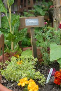 Herb Marker Thyme