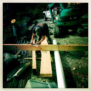 buphalo measures twice.